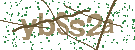 CAPTCHA Image (click to refresh)